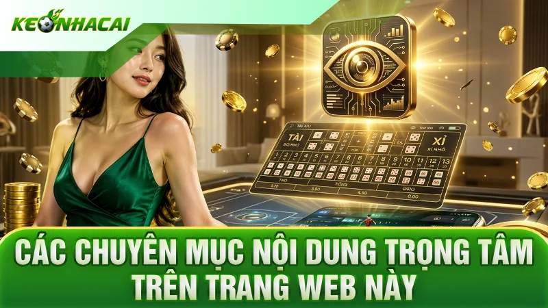 Các chuyên mục nội dung trọng tâm trên trang web này