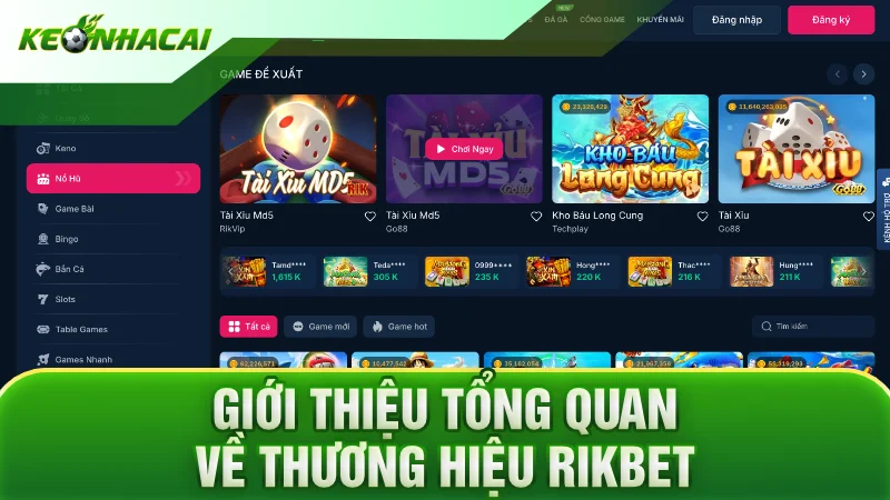 Giới thiệu tổng quan về thương hiệu Rikbet