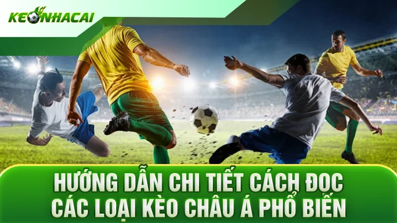 Hướng dẫn chi tiết cách đọc các loại kèo châu Á phổ biến